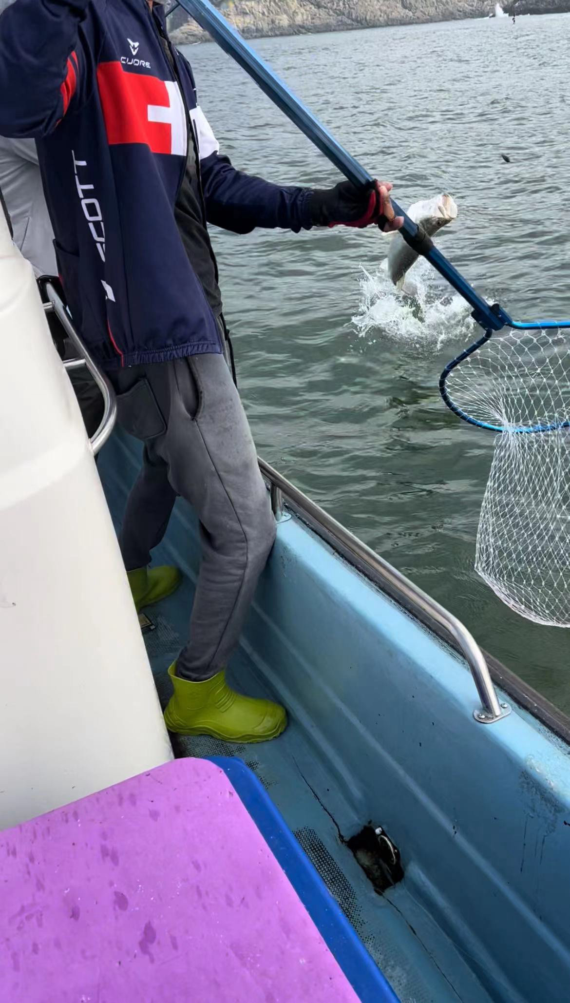 “小蓝鲷”系列10-40号竿现场作业，狂拔11斤海鲈鱼！